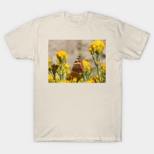 Butterfly, wildlife, insects, nature, gifts, Natures Grace T-Shirt